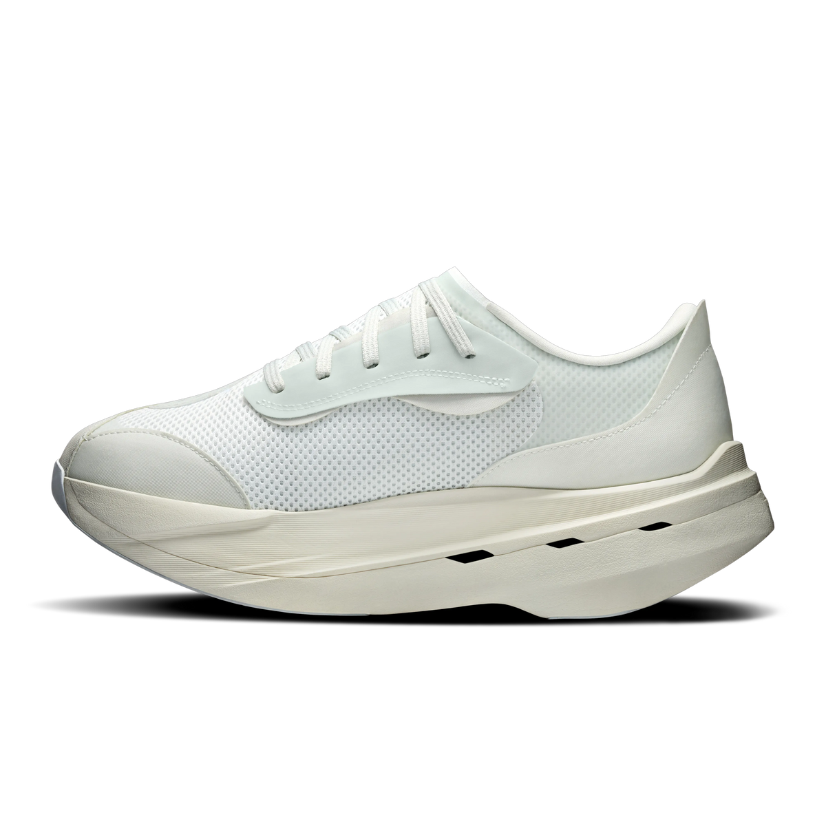 White | Gale