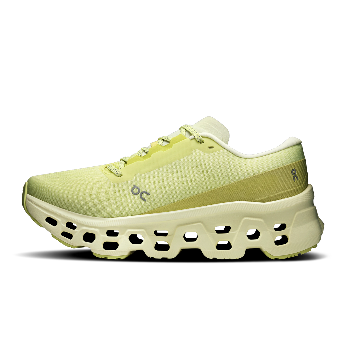 Limelight | Seedling