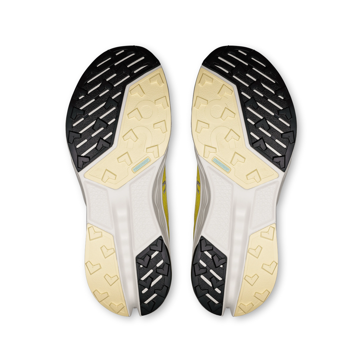 Ivory | Lime