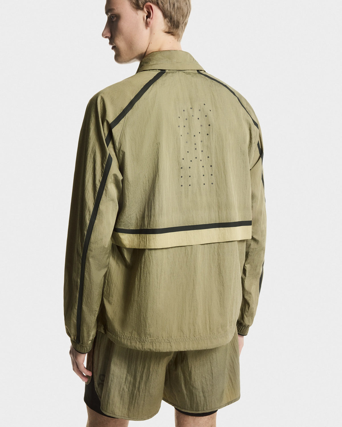 Safari