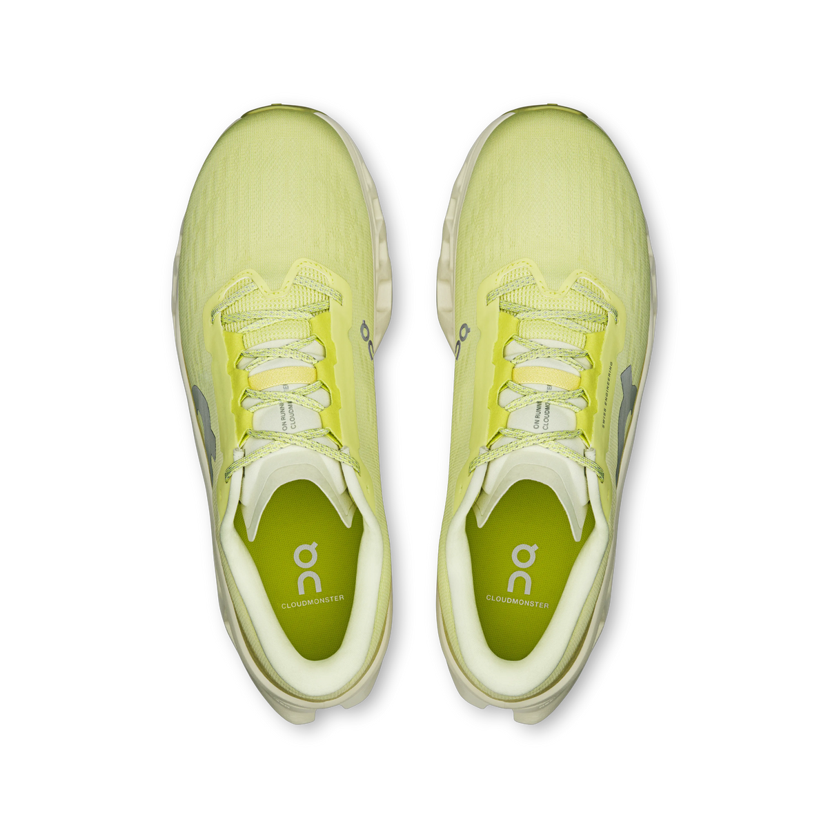 Limelight | Seedling