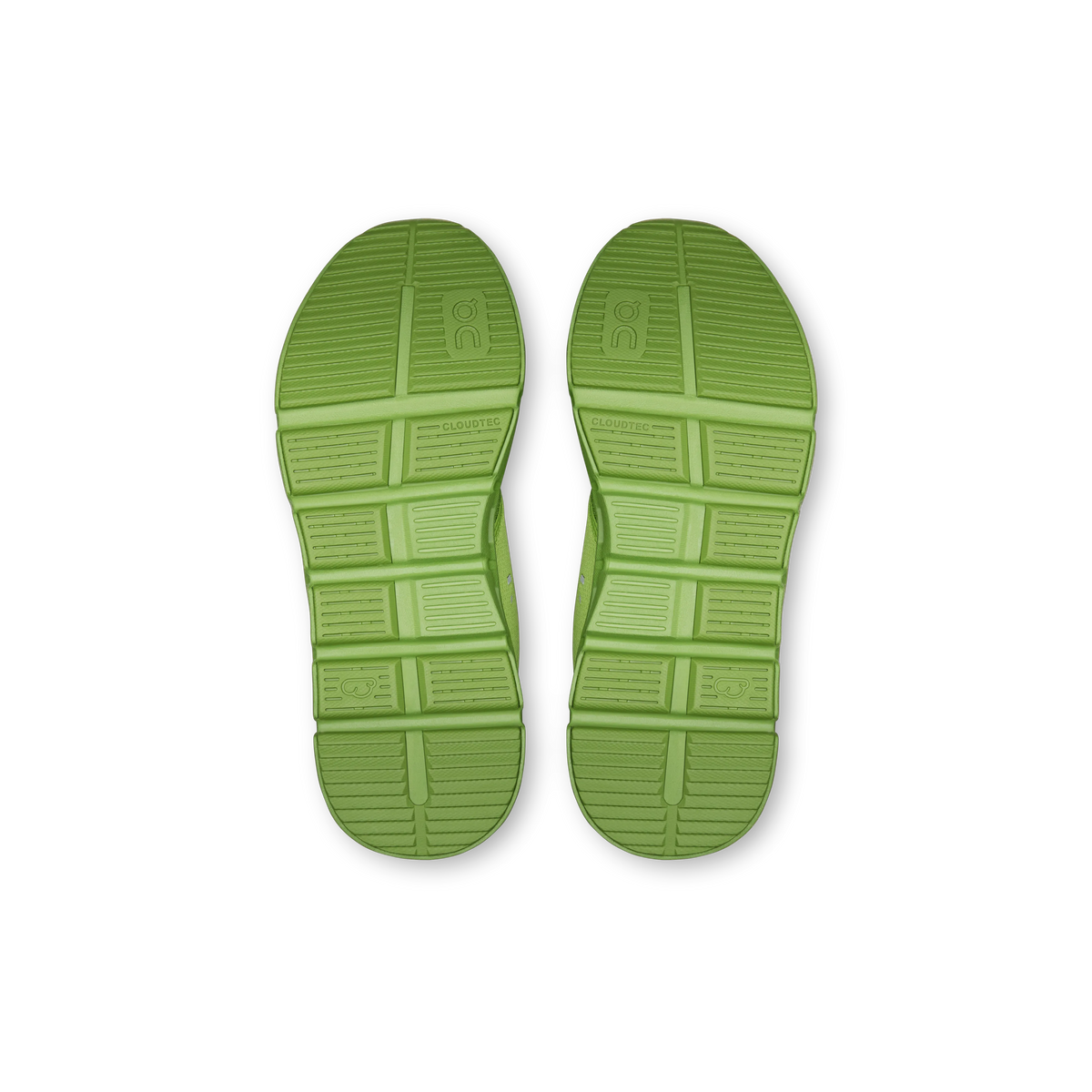 Celery | Bayleaf