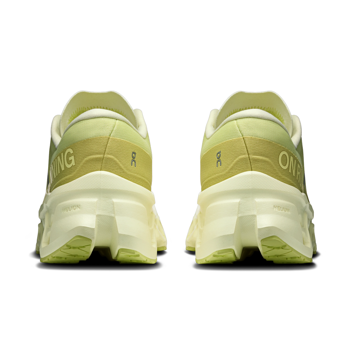Limelight | Seedling
