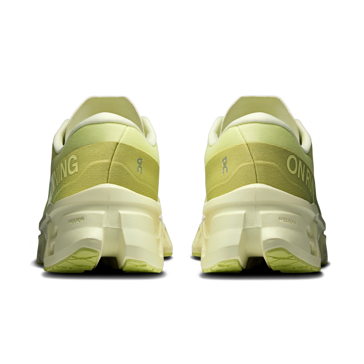 Limelight | Seedling