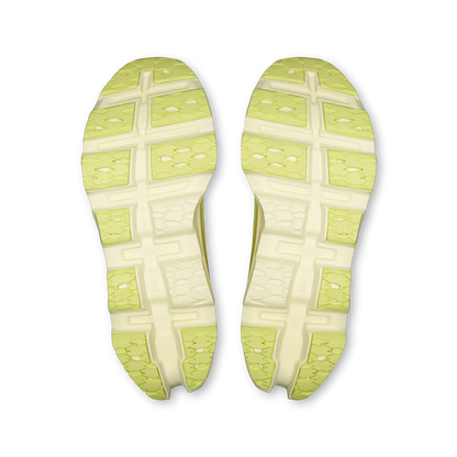 Limelight | Seedling