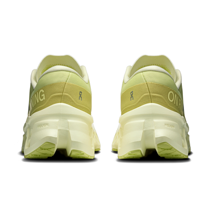 Limelight | Seedling