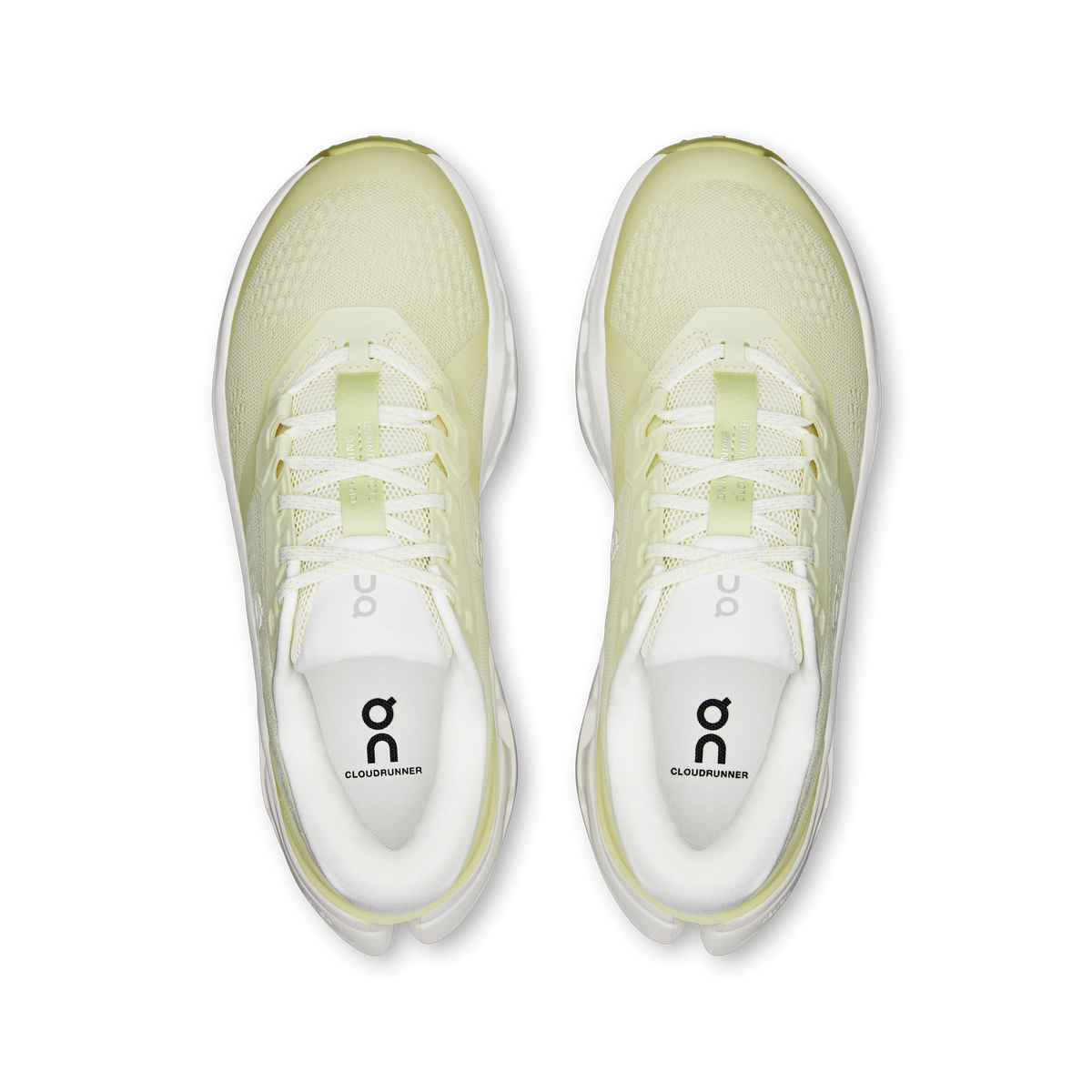 Seedling | Ivory