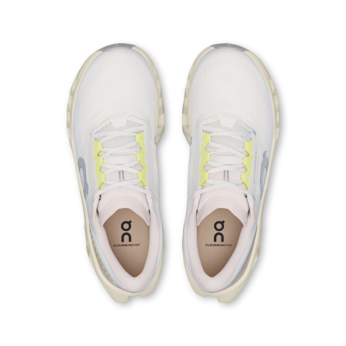 Ivory | Seedling