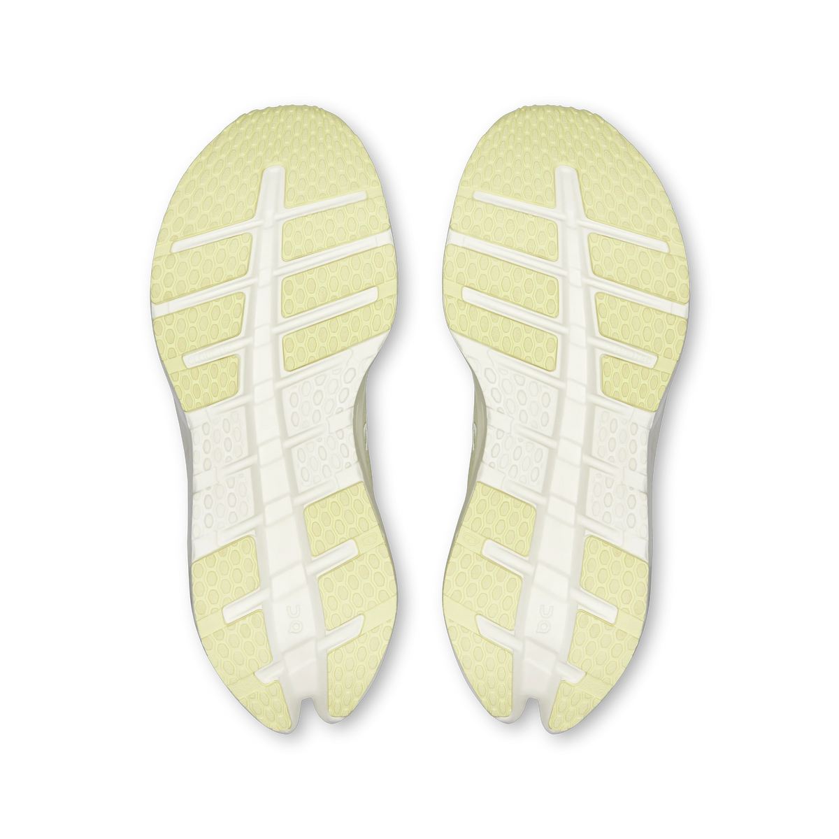 Seedling | Ivory
