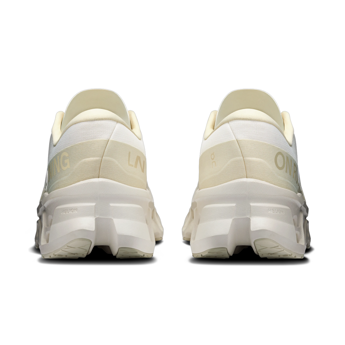 Ivory | Ray