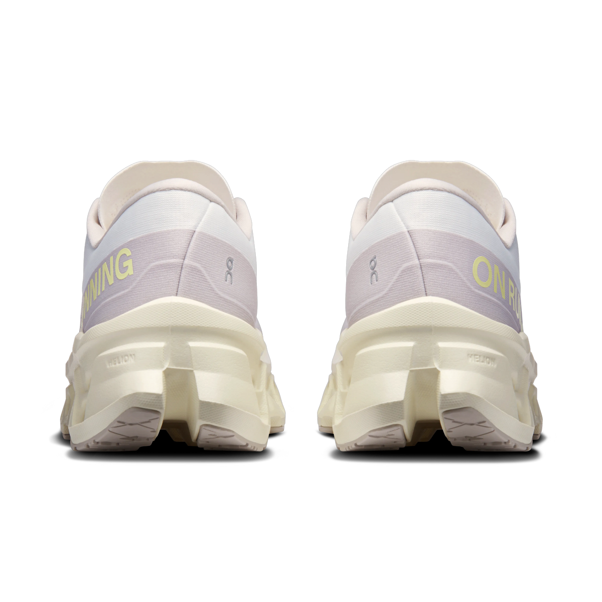 Ivory | Seedling