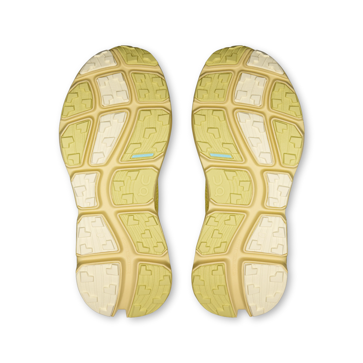 Acacia | Acacia