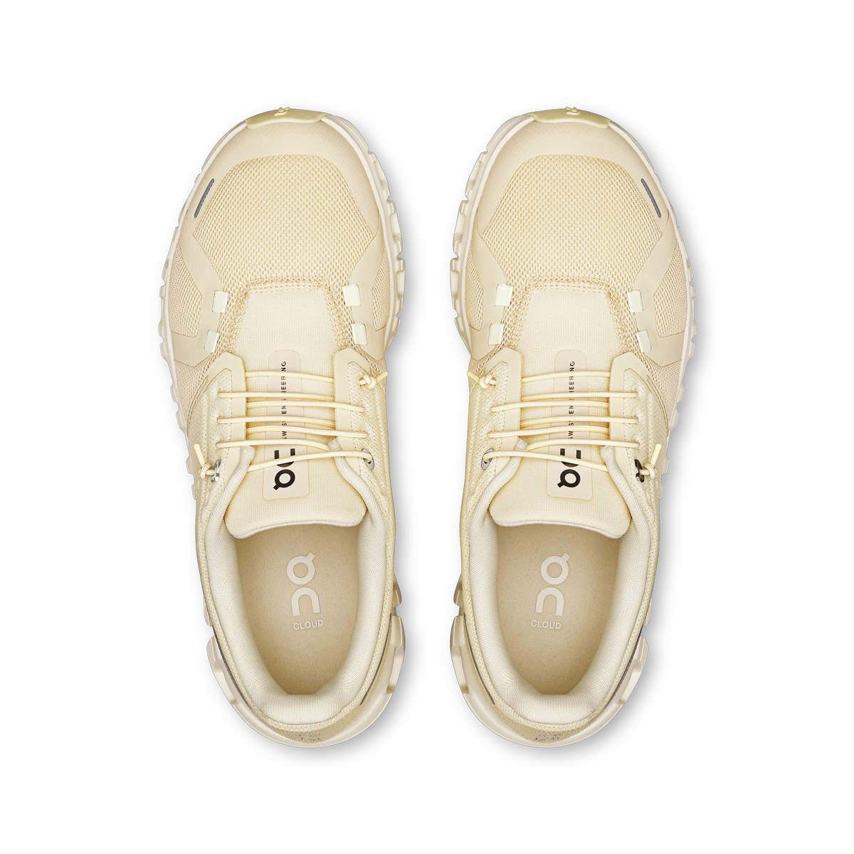 Castor | Ivory