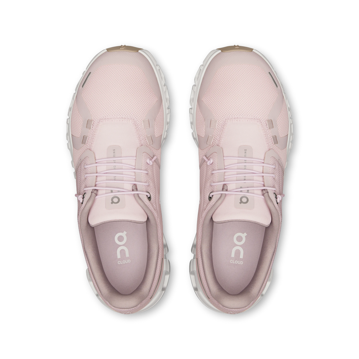 Orchid | Fade