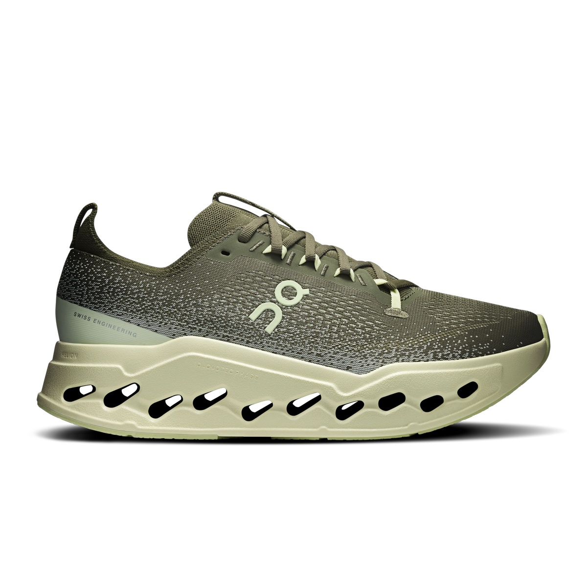 Olive | Seedling