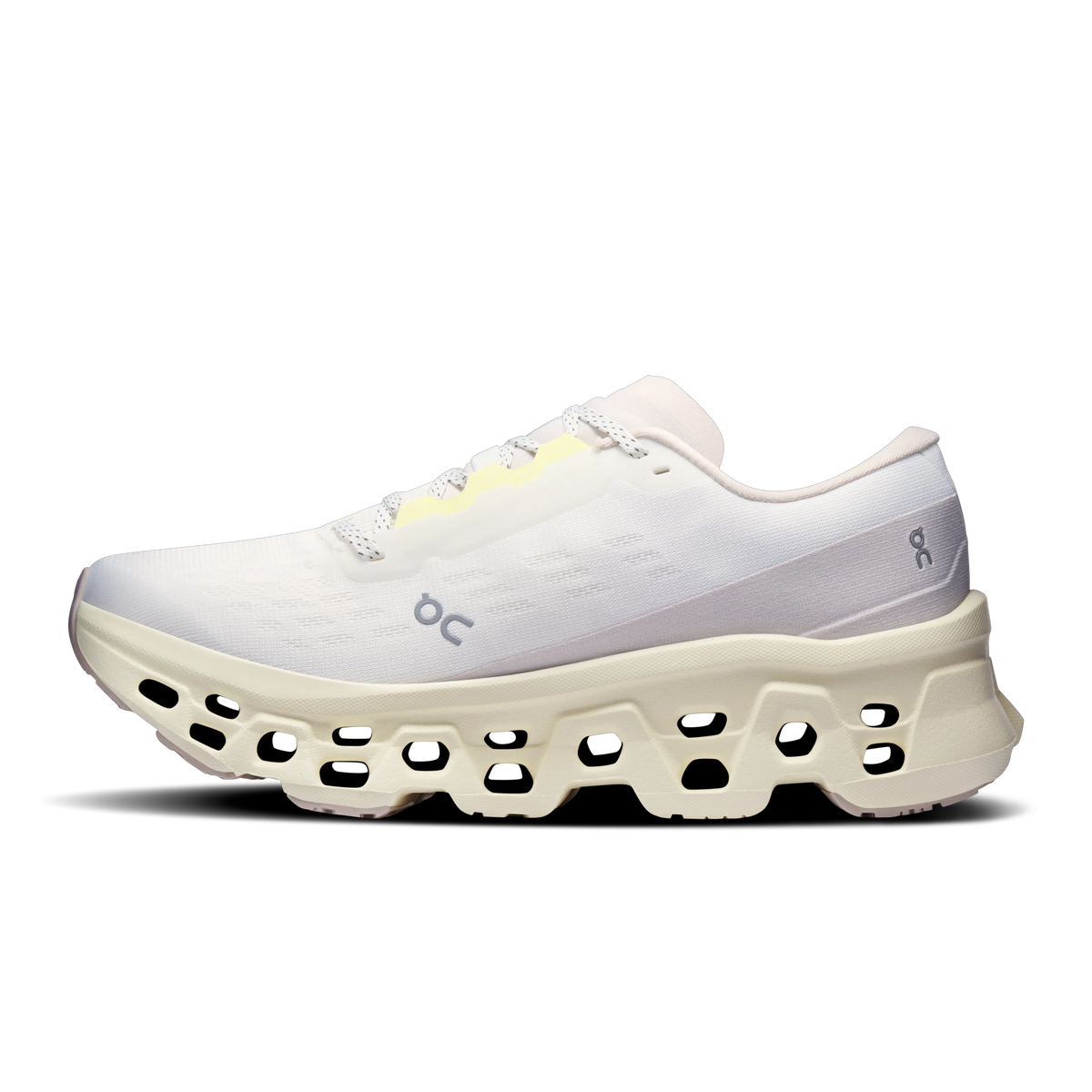 Ivory | Seedling