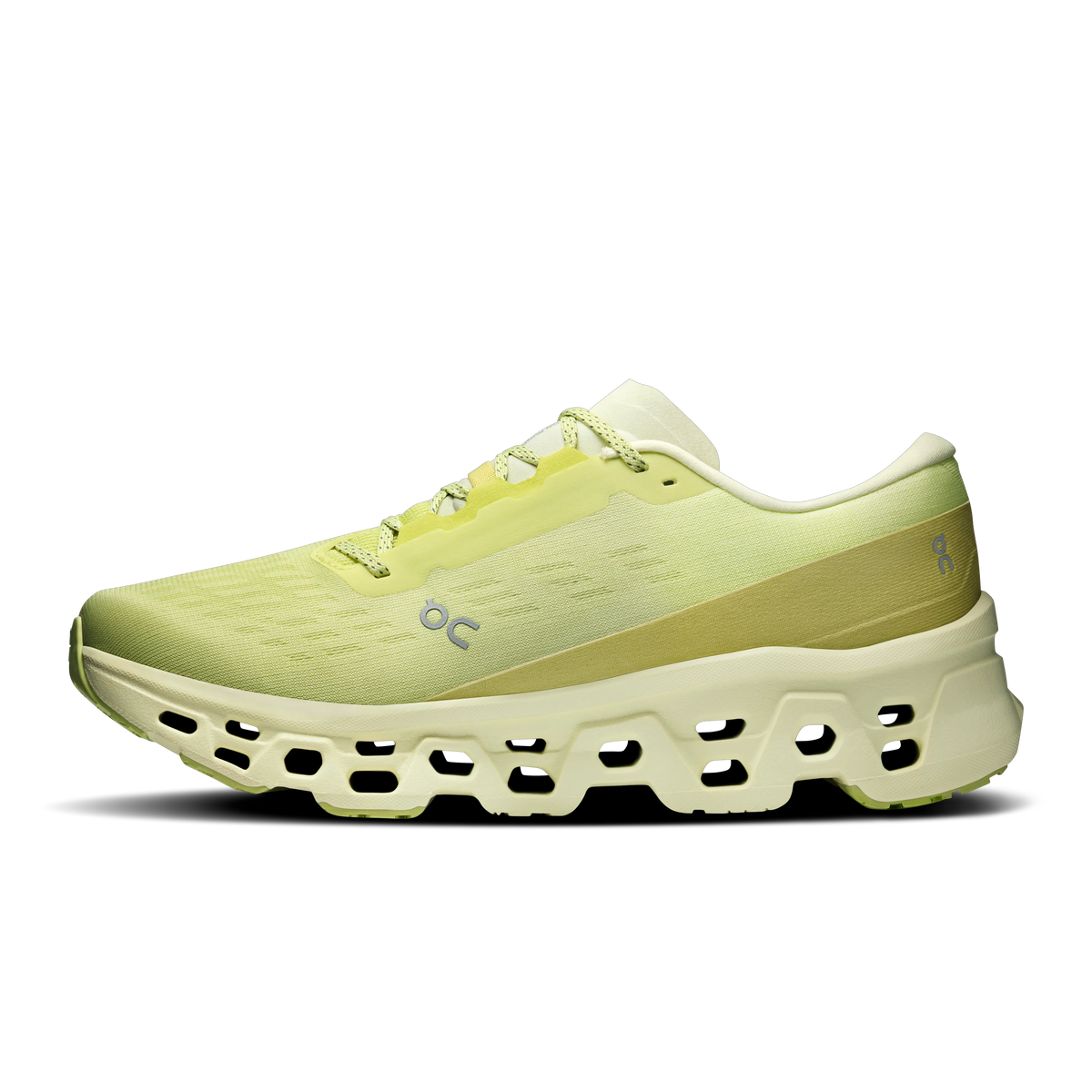 Limelight | Seedling