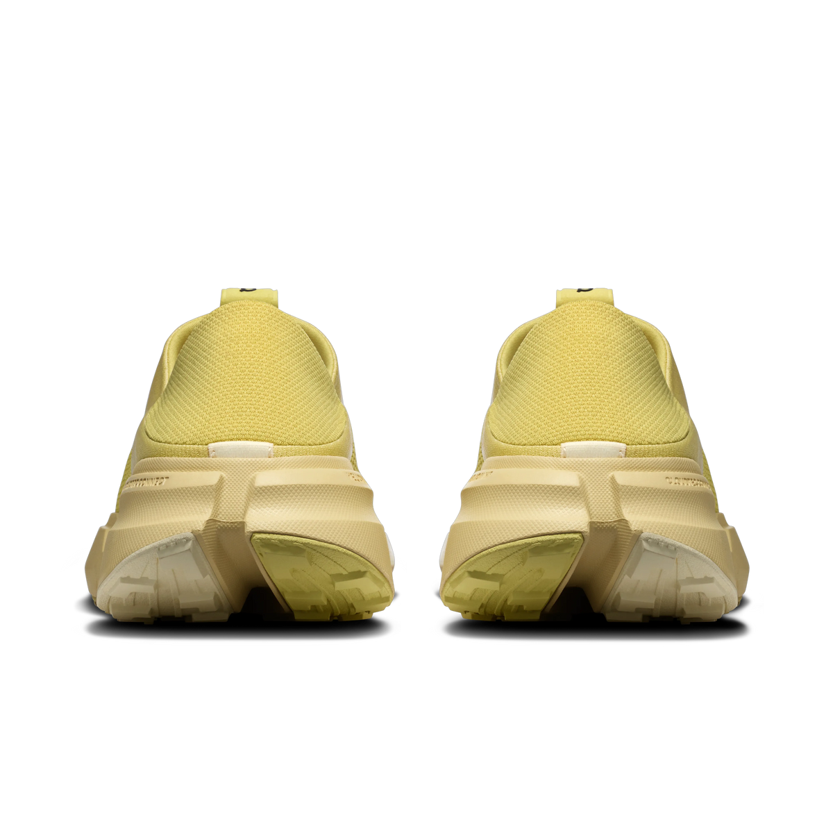 Acacia | Acacia