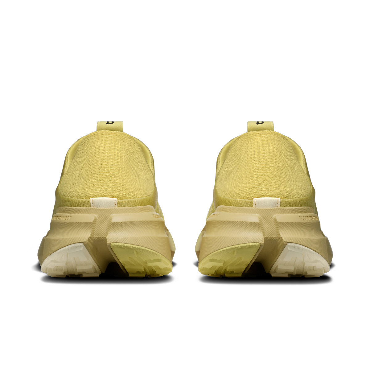 Acacia | Acacia