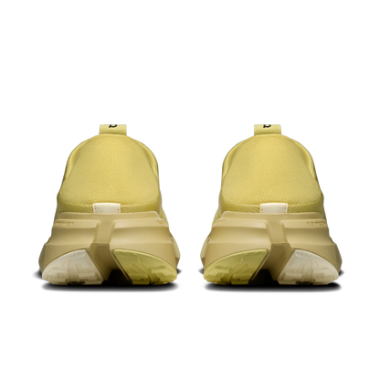 Acacia | Acacia
